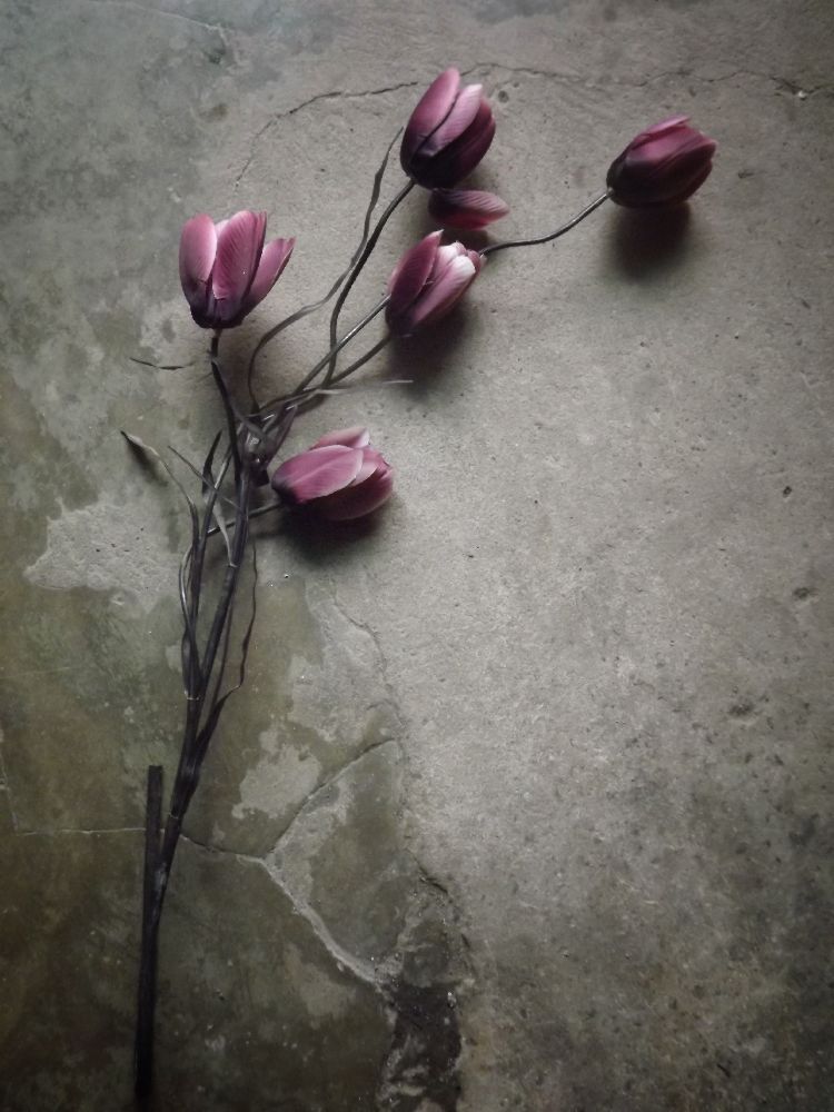 Die elegante Tulpe von kahar lagaa