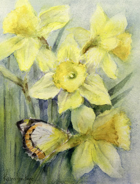Delias Mysis (Union Jack) Butterfly on Daffodils  von Karen  Armitage