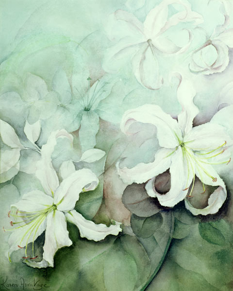 Lilies, white Auratum  von Karen  Armitage
