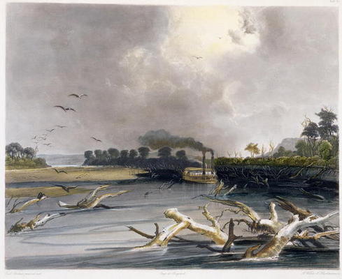 Snags (sunken trees) on the Missouri, plate 6 from Volume 2 of 'Travels in the Interior of North Ame von Karl Bodmer