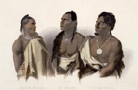 A Missouri Indian, an Oto Indian and the Chief of the Puncas, plate 7 from 'Travels in the Interior 12th
