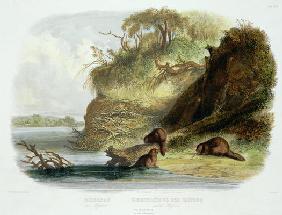 Beaver Hut on the Missouri, plate 17 from volume 1 of `Travels in the Interior of North America', en 19th