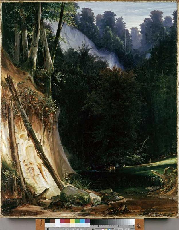 Waldschlucht mit Rotwild von Carl Eduard Ferdinand Blechen