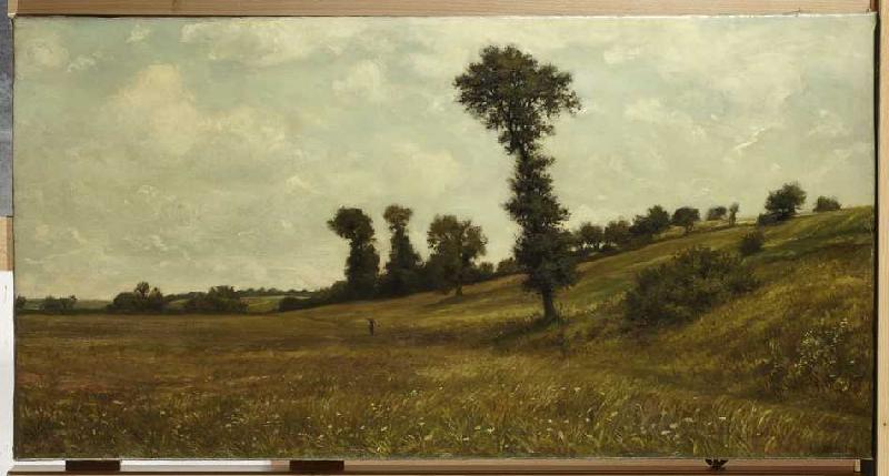 Wiesenplan, rechts Hügelhang mit Büschen und Bäumen. von Karl Peter Burnitz