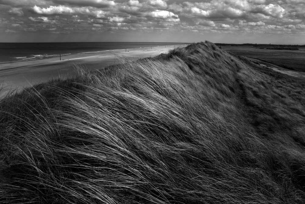 Dunes hair. von Katarzyna Pardo