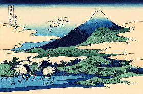 Die Felder von Umezawa in der Provinz Sagami (aus der Bildserie „36 Ansichten des Berges Fuji“)