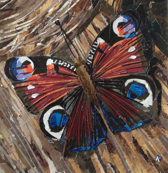 Awaken Peacock Butterfly On Woodpile von Kirstie Adamson