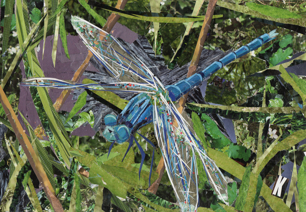 Blue Dragonfly von Kirstie Adamson