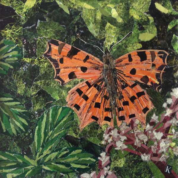Flutter - Comma Butterfly On Japonica von Kirstie Adamson