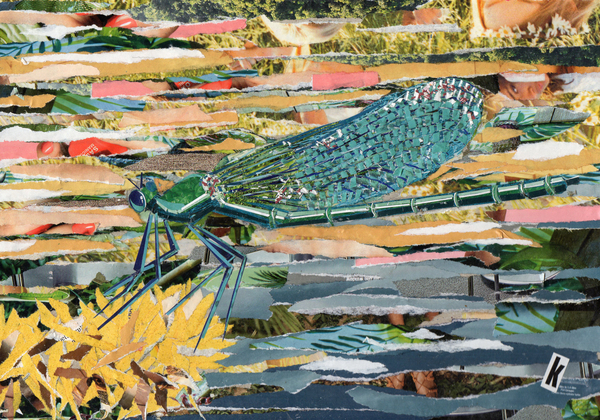 Green Dragonfly von Kirstie Adamson