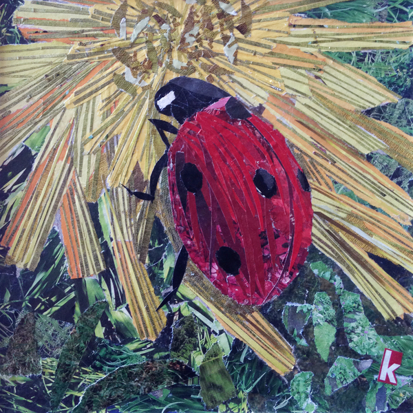 Rise Ladybird On Chrysanthemum von Kirstie Adamson