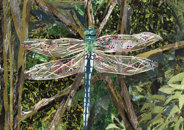 Turquoise Dragonfly von Kirstie Adamson