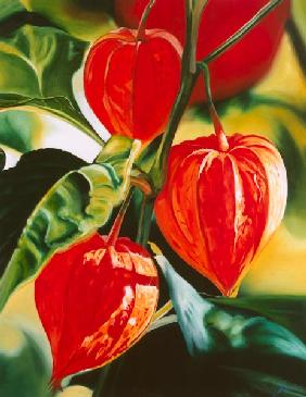 Chinese Lanterns 1999