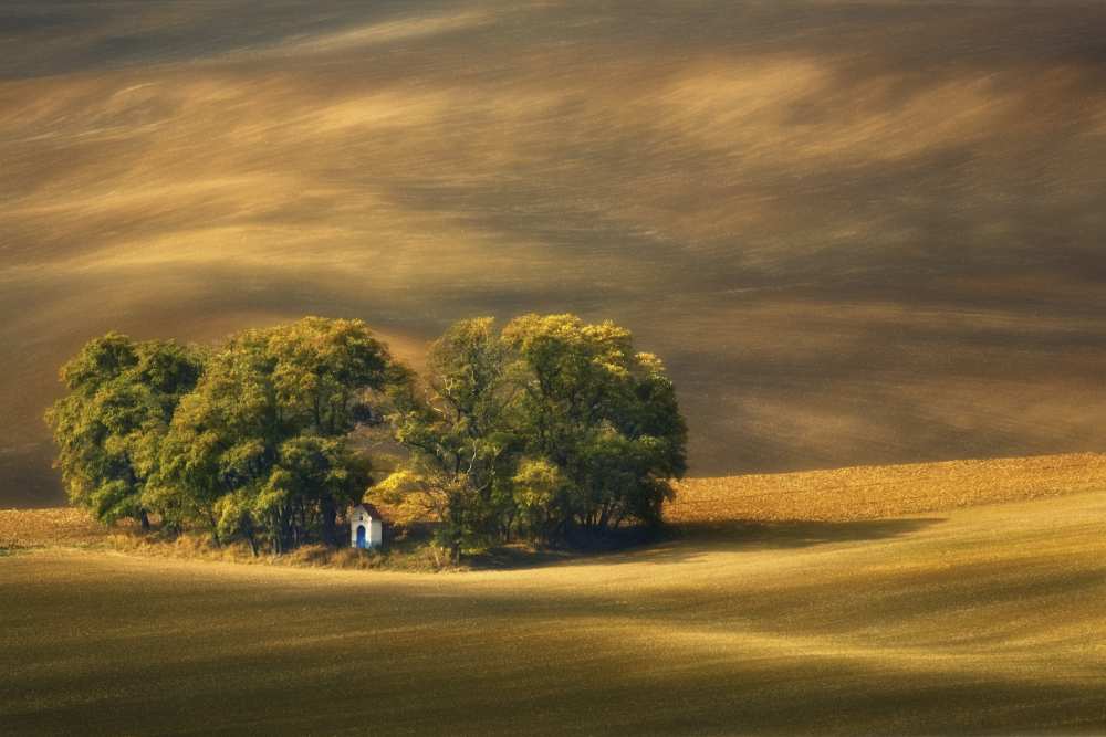 Moravian fields... von Krzysztof Browko