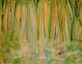 Impression of the Rain Forest, 1991 (acrylic on canvas) 