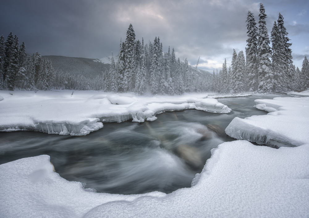 Winter Wunderland von Larry Deng