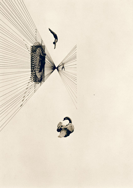 Leda und der Schwan von László Moholy-Nagy