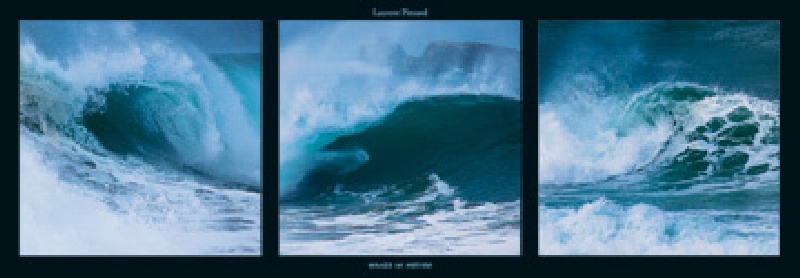Waves in motion von Laurent Pinsard