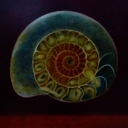 Green Ammonite 2020
