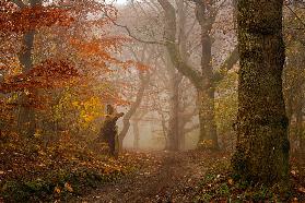 My autumn walk