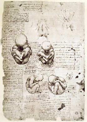 Five Views of a Foetus in the Womb, facsimile copy  &