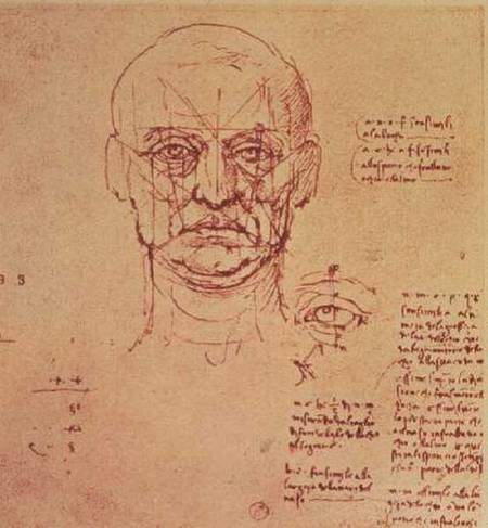 Drawing of the proportions of the head and eye von Leonardo da Vinci