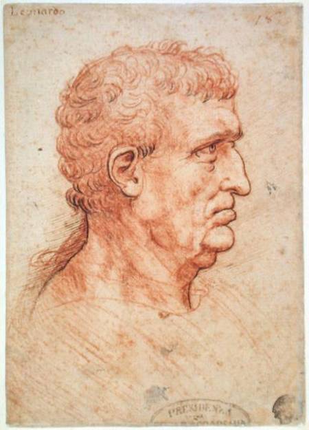 Head of a Man in Profile von Leonardo da Vinci