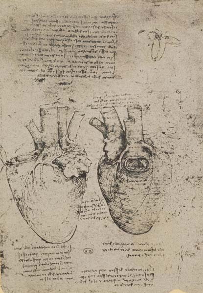 The Heart, facsimile of the Windsor book von Leonardo da Vinci