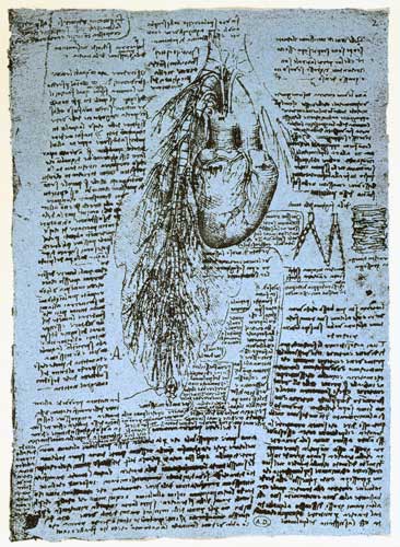 The Heart and the bronchial arteries, facsimile of the Windsor book  and von Leonardo da Vinci