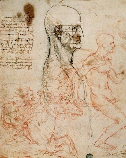 Anatomical studies c.1500-07