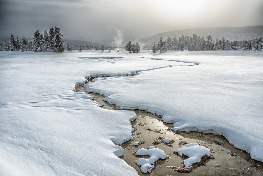 Winter im Yellowstone von Li Qun Xia