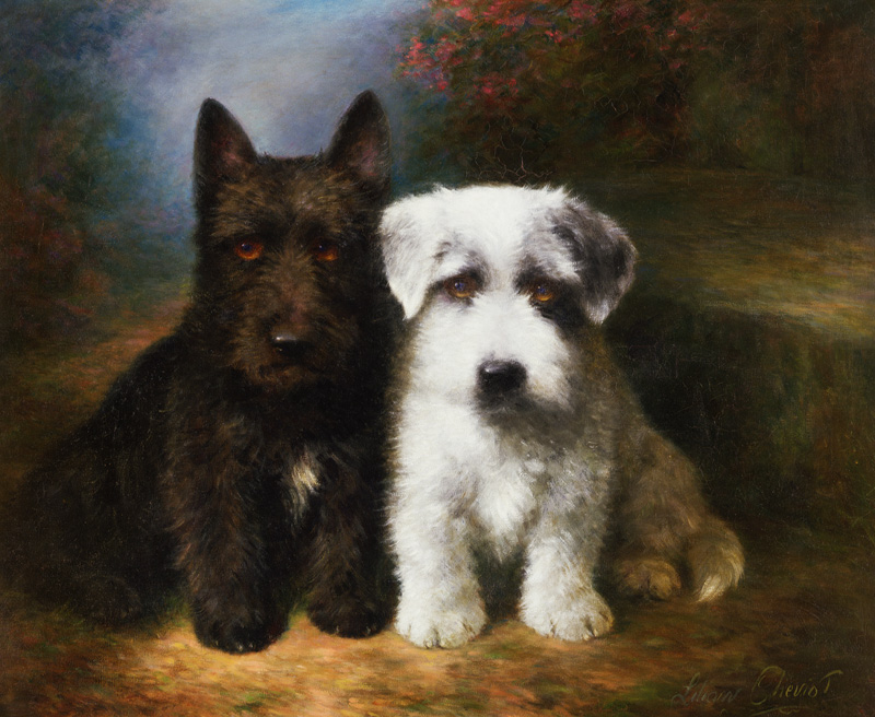 A Scottish and a Sealyham Terrier von Lilian Cheviot
