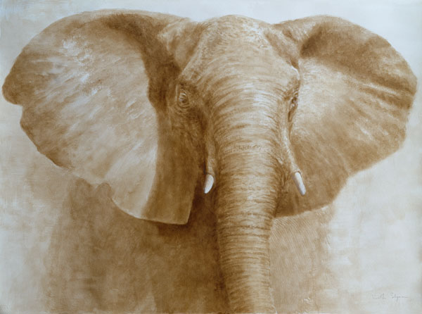 Elephant, 2004 (acrylic on paper)  von Lincoln  Seligman