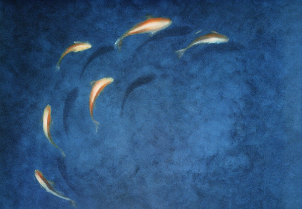 Goldfish Pool  von Lincoln  Seligman