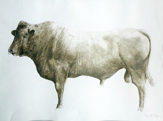 Islay Bull, 2004 (acrylic on canvas)  von Lincoln  Seligman