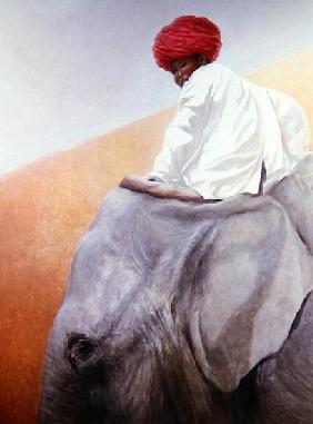 Elephant Boy (oil on canvas) 