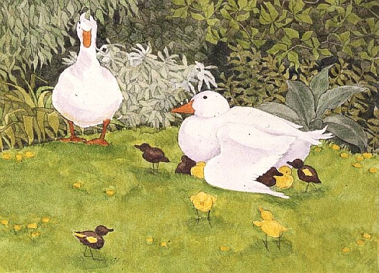 Ducks and Ducklings von Linda  Benton