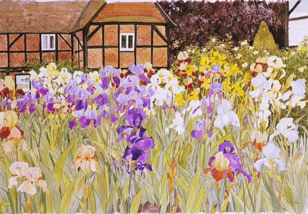 Irises von Linda  Benton