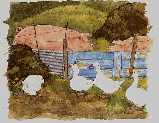 Pigs, Midden and Geese von Linda  Benton