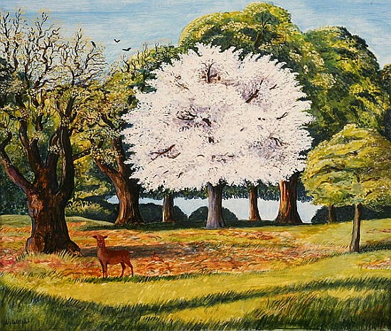 Cherry Blossom and Deer, 1995 (acrylic on paper)  von Liz  Wright