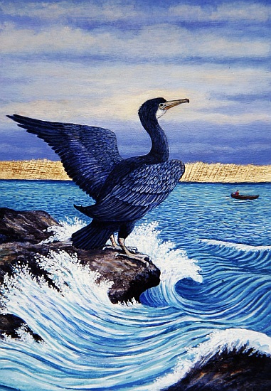 Cormorant on shag Rock von Liz  Wright