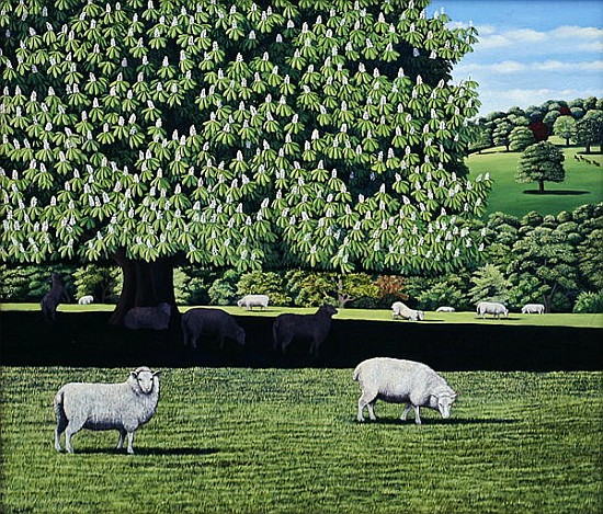 Dorset Parkland, 2007 (oil on canvas)  von Liz  Wright