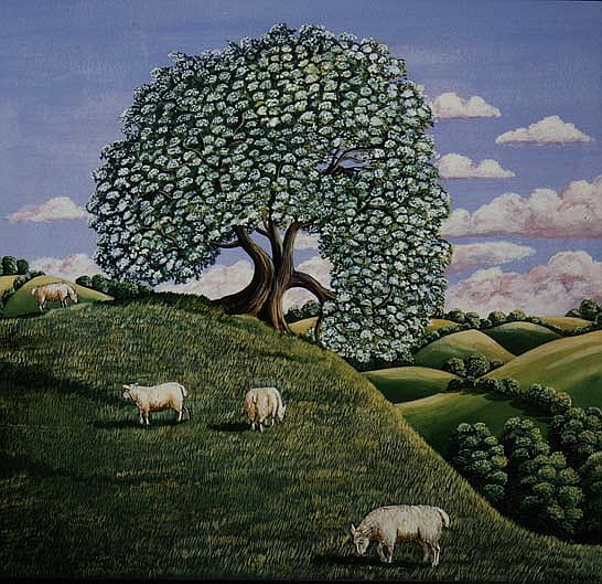 The Hawthorn Tree, 1981 (gouache)  von Liz  Wright