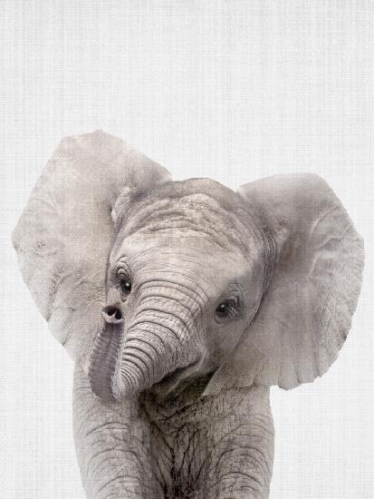 Guck-Baby-Elefant