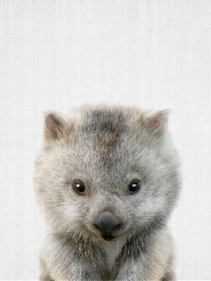 Peekaboo Baby Wombat