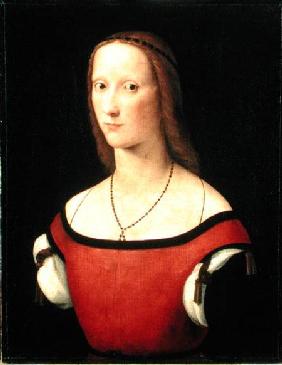 Portrait of a Woman 1500s
