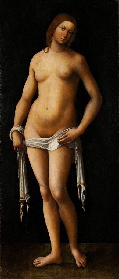 Venus von Lorenzo Costa