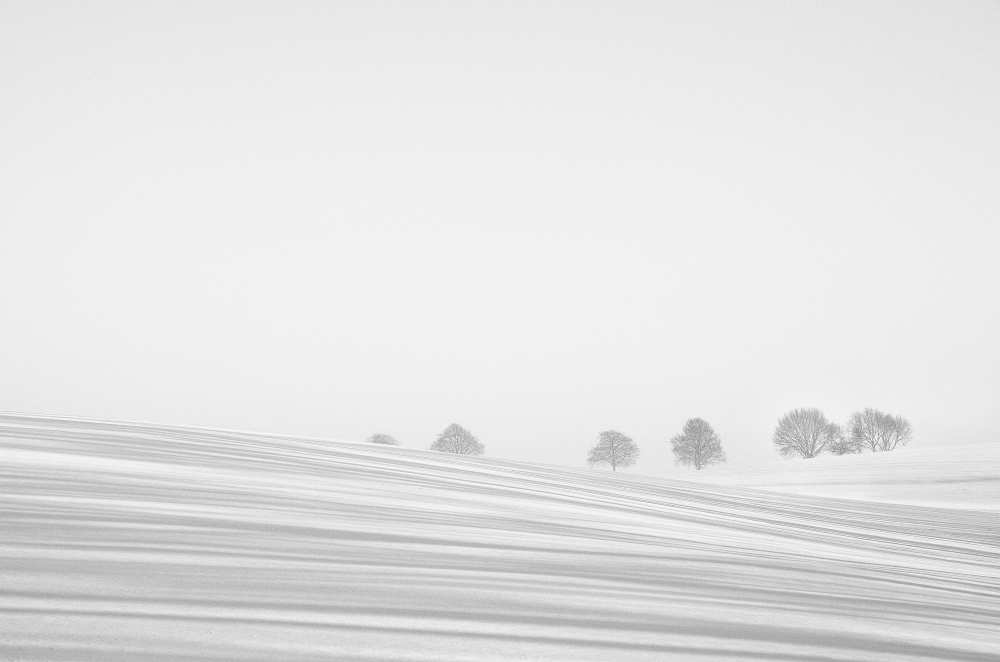 Snowlines von Lou Urlings