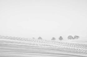 Snowlines