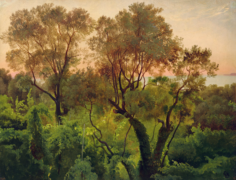 Slope with Olive Trees von Louis Gurlitt